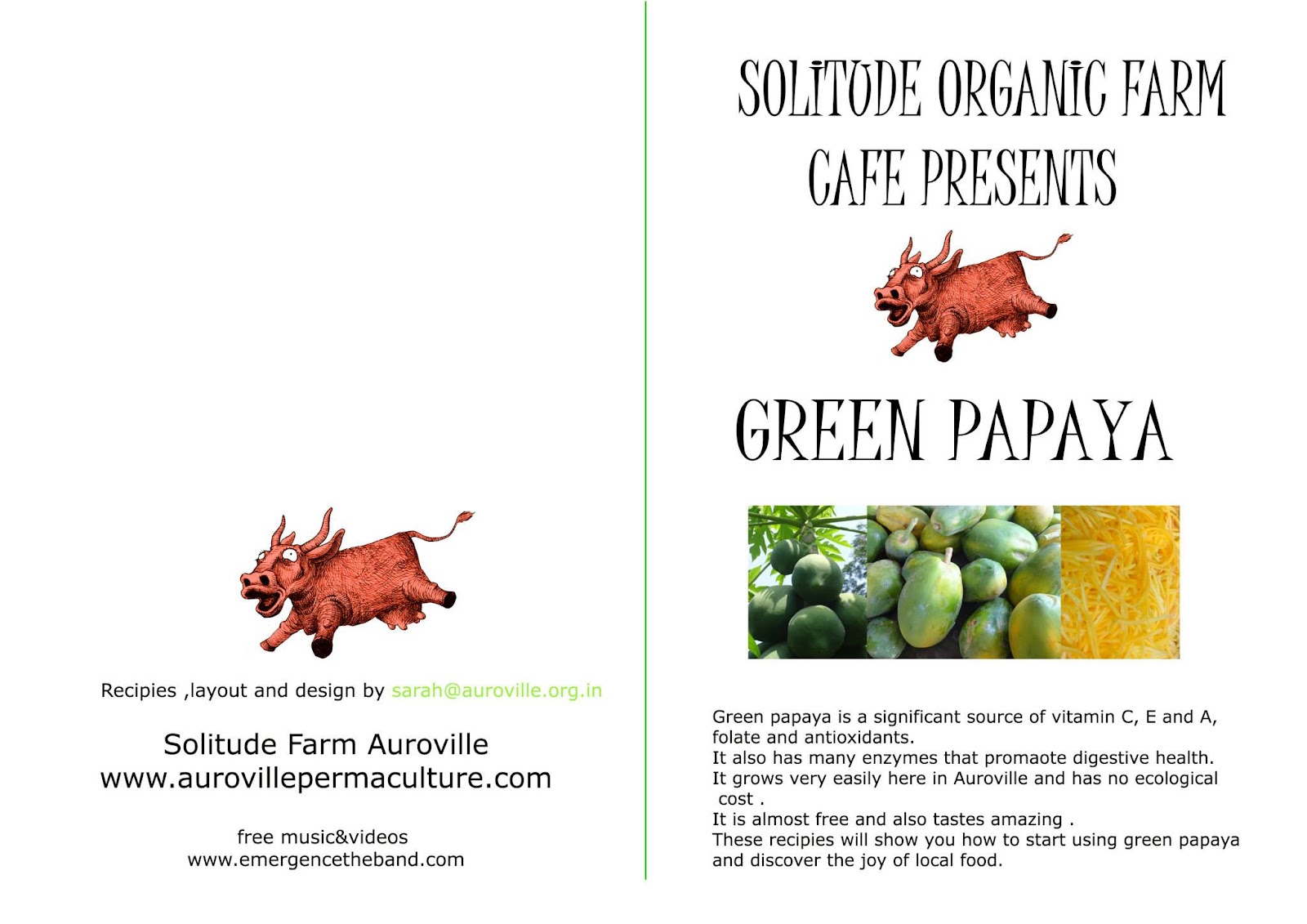 The Amazing Benefits of Green Papaya- 1Over the years, Solitude Farm Café has created many projects to help educate people on the benefits of local foods. One such effort was this collection of pamphlets made by Sarah Kundig (youtube.com/myfoodforest). These simple pamphlets give people who come to the café a chance to take away a cooking idea of something they have eaten on the thali.