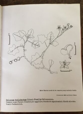 e25032768178eecd063084e32118d9b79db71e2faaf80c782f6f39e0c9ace3c5