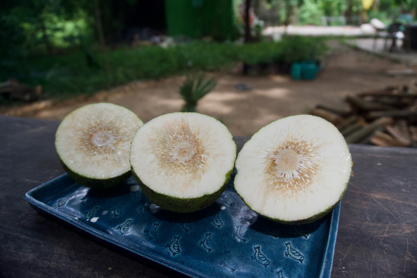 Breadfruit Kara kuzhambu