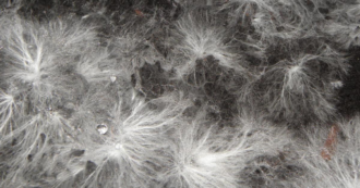 3e4834cad29e3eeff99cb3dd36244bda6e41697616635e4691ac39902a168c5c