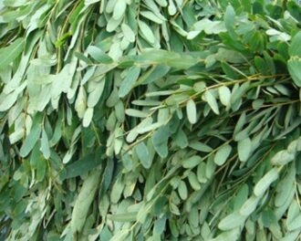 4f67c98fdb3fd37249ef76aa16fe9b0e4381df90013cda171148115834b62eaa