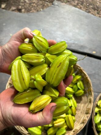 aa76838295268709c6a508262efb4de8e31a72aad6899ba125d7b666c2901d71