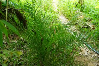 9cc929a71120d233f98aa9d85192b8768203b45bfba04e8da51515f500182424