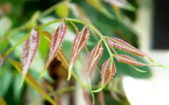 5d5ffbbb82a881f2c40766ecf36978a44f7f81ea1cc2646ab1ba92f220571577